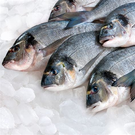 Here's How To Tell If Fish Is Fresh .